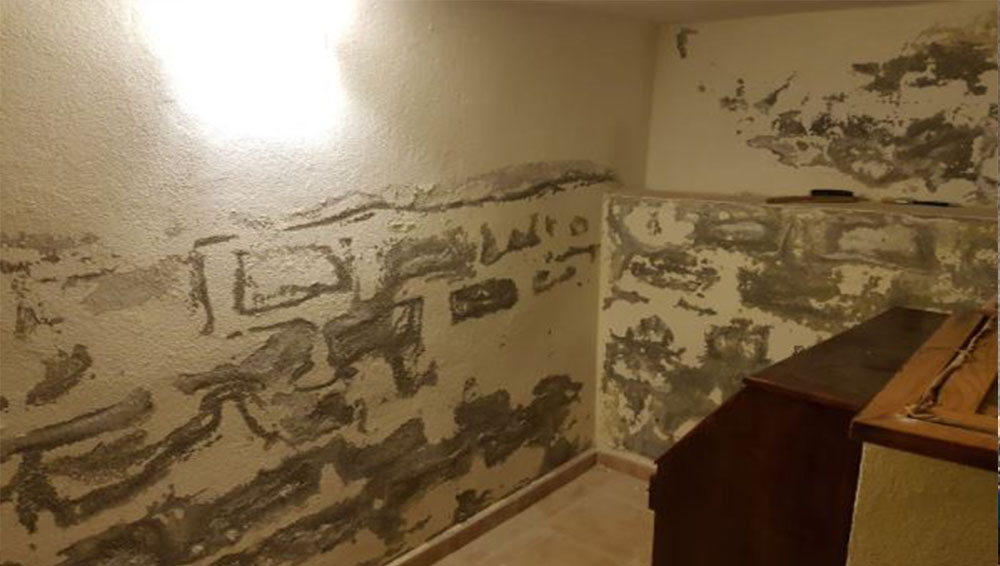 Los diferentes tipos de moho en las paredes